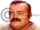 https://image.noelshack.com/fichiers/2018/37/3/1536775771-risitas-copyright.png