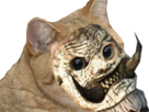 https://image.noelshack.com/fichiers/2018/37/4/1536854167-86919-thumb.png