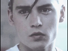 https://image.noelshack.com/fichiers/2018/40/1/1538423263-583af3755d8f87a71b23fd40da6d6c45-johnny-depp-cry-baby-pretty-men.jpg