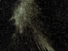 https://image.noelshack.com/fichiers/2018/40/3/1538582759-47-meya8r2x.png