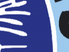 https://image.noelshack.com/fichiers/2018/40/6/1538830820-39-50pc9yx9.png