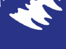 https://image.noelshack.com/fichiers/2018/40/6/1538830822-54-50pc9yx9.png
