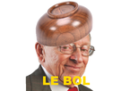 https://image.noelshack.com/fichiers/2018/40/6/1538843270-le-bol.png