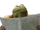 https://image.noelshack.com/fichiers/2018/40/7/1538920253-kermitjournal.jpg