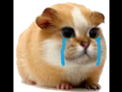 https://image.noelshack.com/minis/2018/40/7/1538935961-risimserechat.png