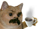 https://image.noelshack.com/fichiers/2018/41/3/1539197145-63905-full.png