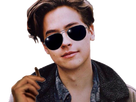 https://image.noelshack.com/fichiers/2018/41/4/1539257992-jughead-membre-solide-des-serpents-met-la-hagra-aux-chofas-entre-deux-guerres-de-gang.png