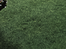 https://image.noelshack.com/fichiers/2018/41/6/1539466845-63-pov5v2mr.png