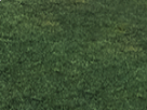 https://image.noelshack.com/fichiers/2018/41/6/1539466845-64-pov5v2mr.png