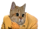 https://image.noelshack.com/fichiers/2018/41/7/1539472948-ahaaaaj.png