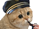 https://image.noelshack.com/fichiers/2018/41/7/1539518681-1529611290-chat5.png