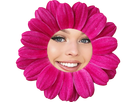 https://image.noelshack.com/fichiers/2018/42/6/1539995201-loren-gray-fleur.png