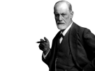 https://image.noelshack.com/fichiers/2018/43/4/1540452724-1493158393-freud.png