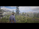 https://image.noelshack.com/fichiers/2018/43/6/1540636225-red-dead-redemption-2-20181027082805.png