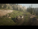 https://image.noelshack.com/fichiers/2018/43/6/1540636287-red-dead-redemption-2-20181027092014.png