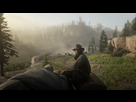 https://image.noelshack.com/fichiers/2018/43/6/1540636294-red-dead-redemption-2-20181027092059.png