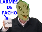 https://image.noelshack.com/fichiers/2018/43/6/1540674026-larmes2facho.png