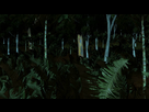 https://www.noelshack.com/2018-44-2-1540887150-dense-jungle-at-night-trackijg-shot-hmexysudl-thumbnail-full012.png