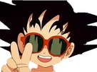 https://image.noelshack.com/fichiers/2018/44/2/1540938804-goku-paz.jpg