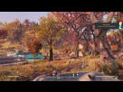 https://image.noelshack.com/fichiers/2018/44/3/1541019598-fallout76-screenshot-2018-10-31-04-05-18-34.png