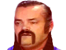 https://image.noelshack.com/fichiers/2018/44/5/1541192994-1512536963-1490695574-risibeauf.png