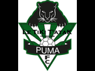 https://www.noelshack.com/2018-44-6-1541255897-pumas-fc-logo-team-2.png