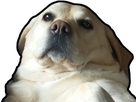 https://image.noelshack.com/minis/2018/44/7/1541372323-47-1.png