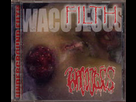 https://image.noelshack.com/minis/2018/45/1/1541383600-waco-jesus-filth.png