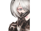 https://image.noelshack.com/fichiers/2018/45/1/1541446869-yorha.jpg
