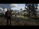 https://image.noelshack.com/fichiers/2018/45/7/1541942837-red-dead-redemption-2-20181107111632.jpg