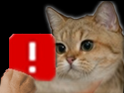 https://image.noelshack.com/fichiers/2018/46/1/1542023842-1539474555-ddbcat.png