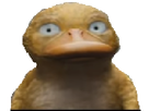 https://image.noelshack.com/fichiers/2018/46/1/1542045790-fdfdfd.png