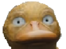 https://image.noelshack.com/fichiers/2018/46/1/1542045852-fffff.png