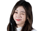 https://image.noelshack.com/fichiers/2018/47/1/1542657540-jisooclin.png