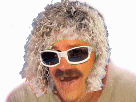 https://image.noelshack.com/fichiers/2018/47/2/1542708525-7281-full.gif