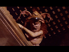 https://image.noelshack.com/fichiers/2018/47/5/1542985479-salacious-crumb.jpeg