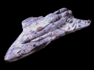 https://image.noelshack.com/fichiers/2018/47/5/1542994366-mon-calamari-star-cruiser.jpg