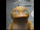 https://image.noelshack.com/fichiers/2018/47/5/1543010497-1542044323-10859-full.png