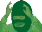 https://image.noelshack.com/minis/2018/47/6/1543060723-cagolribravert.png