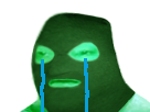https://image.noelshack.com/minis/2018/47/6/1543061062-cagoulpleurvert.png