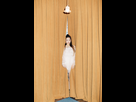 https://image.noelshack.com/fichiers/2018/47/6/1543074342-red-velvet-rbb-photos-teaser-yeri-2.jpg