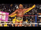 https://image.noelshack.com/fichiers/2018/47/7/1543173637-hulk-hogan-bio.jpg
