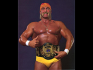 https://image.noelshack.com/fichiers/2018/47/7/1543173666-2956685-hulkhogan.jpg