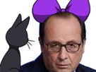 https://image.noelshack.com/fichiers/2018/48/2/1543316687-kiki-hollande.png