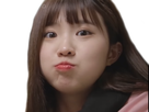 https://image.noelshack.com/fichiers/2018/48/3/1543410177-hayoungcup.png