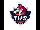 https://image.noelshack.com/fichiers/2018/48/4/1543485462-logo-twb.png