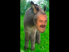 https://image.noelshack.com/fichiers/2018/48/4/1543492741-annissou.png