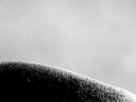 https://image.noelshack.com/fichiers/2018/48/5/1543534869-13-ky9cqlus.png