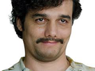 https://image.noelshack.com/fichiers/2018/49/1/1543871010-images-3.jpeg