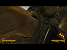 https://image.noelshack.com/fichiers/2018/49/4/1544058918-falloutnv-2018-12-06-02-14-22.png